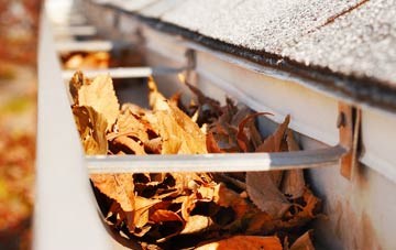 West Clandon gutter cleaning companies