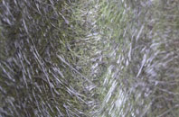 West Clandon fibreglass roof work